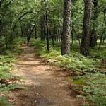 BastropStPark